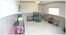 産室・子犬専用部屋