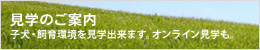見学のご案内