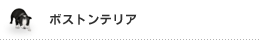 ボストンテリア