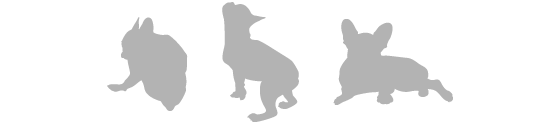 ペットの健康
