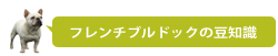 フレンチブルドックの豆知識