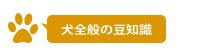 犬全般の豆知識