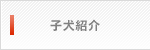 子犬紹介