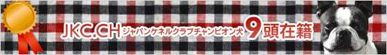 JKC.CH 9頭在籍